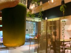 -柴务处·柴犬主题狗咖