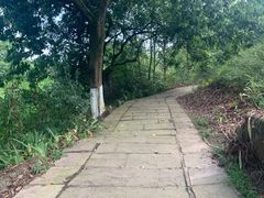 -张坝桂圆林公园