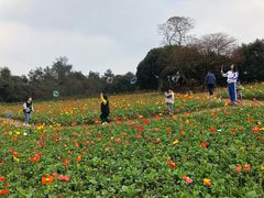 -保利石象湖景区