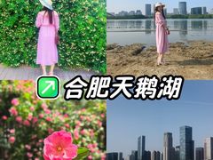 -天鹅湖体育公园