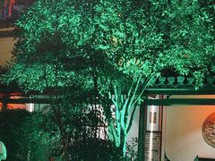 -不倒翁·徽天下名菜楼(马鞍山路店)