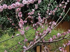 -龙华寺