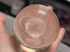 -泰山宝盛大酒店·八珍轩自助餐