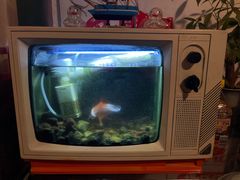 -永安里地摊烤肉(首创店)