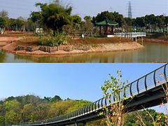 -王借岗森林公园