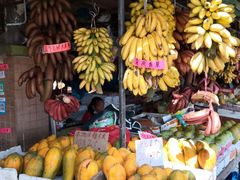 -南沙十九涌渔人码头-南门