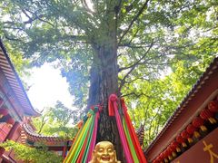 -天门寺