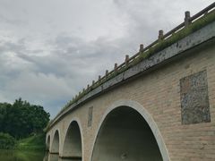 -大湾区中央湿地公园