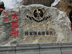-大槐树寻根祭祖园