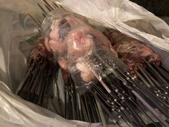 -新疆阿力烧烤