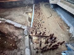-元代水闸遗址博物馆