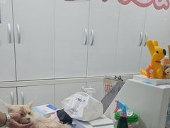 -达爱动物医院·犬猫分区·CT·复杂眼科(远洋山水分院)