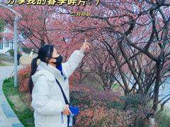 -天鹅湖体育公园
