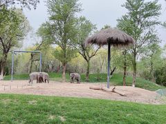 -北京野生动物园