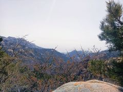 -崂山巨峰游览区