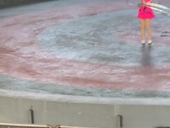 -石家庄极地海洋世界
