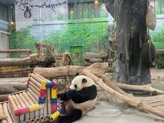 -灵玲国际马戏城
