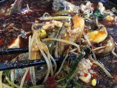 -金海椒罐罐鲢鱼(东方桂苑店)