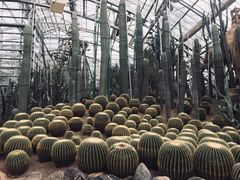 -南山植物园