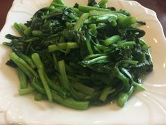-克什克腾旗蓝天温泉大酒店