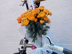 -AITASHOP(北京店)