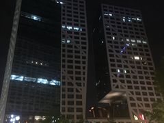 酒店外观夜景-成都雅诗阁来福士