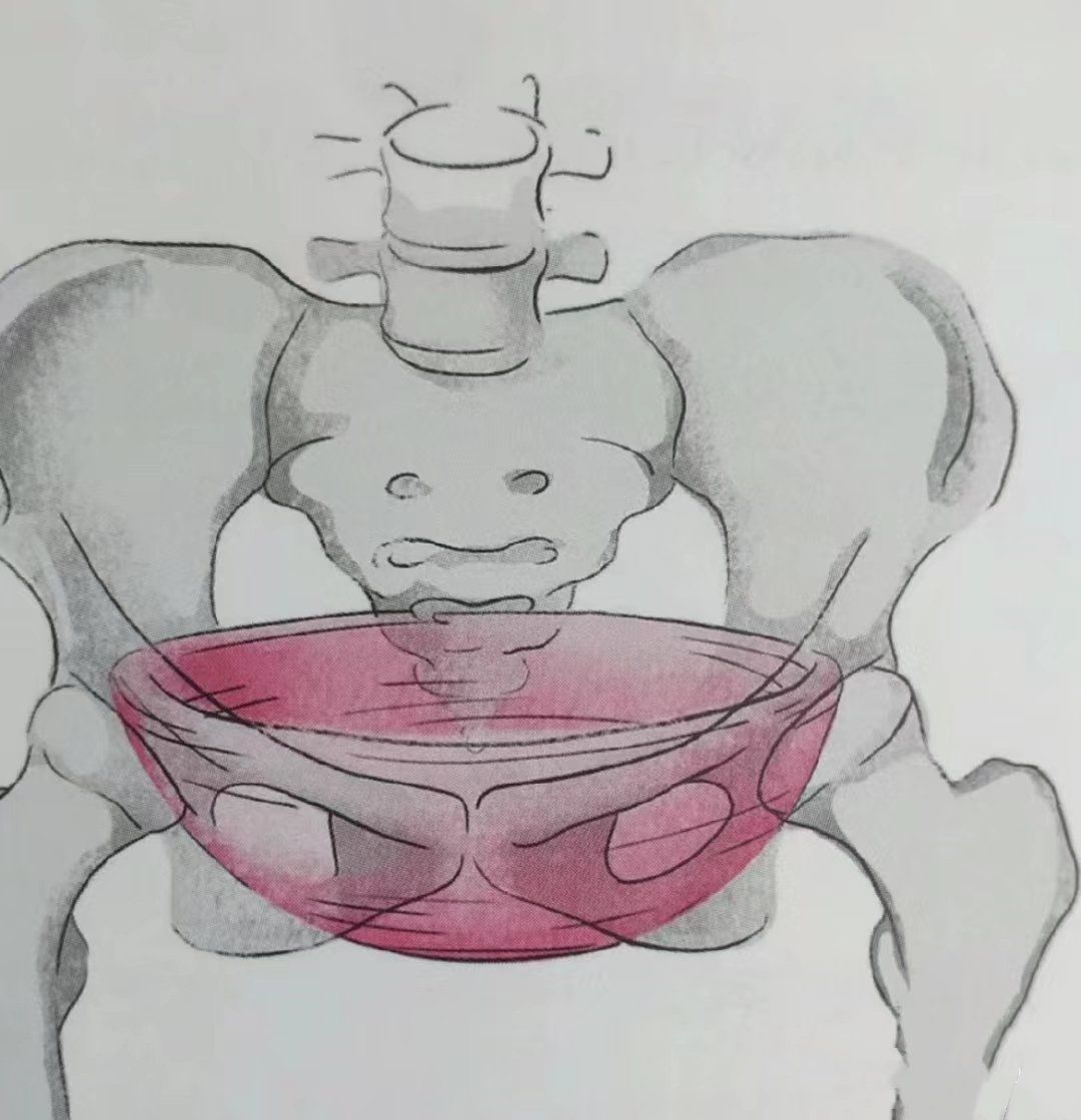 医院的产康解决不了盆底的核心问题