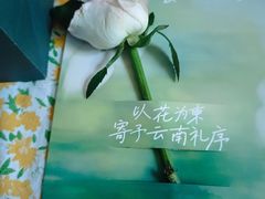 -芸山季·云南野生菌火锅(人民广场来福士店)