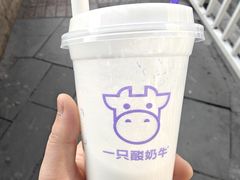 -一只酸奶牛(八一路店)
