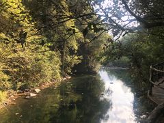 -石台牯牛降景区