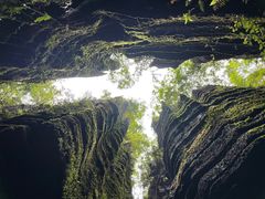 -梭布垭石林景区