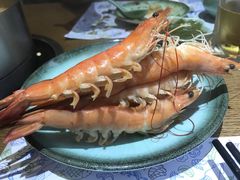 -海桐