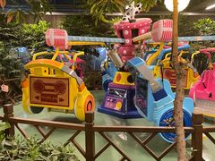 -南宫五洲植物乐园