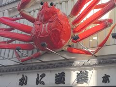 -蟹道乐(道顿堀本店)