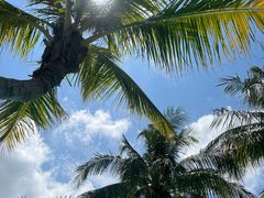 -惠州金海湾嘉华度假酒店