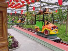 -南宫五洲植物乐园