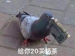 -文三里屯面馆(三里屯店)