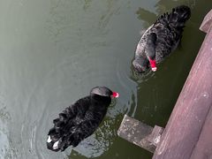 -长兴太湖图影湿地文化园