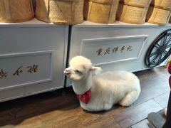 -磁器口古镇