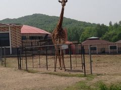 -哈尔滨北方森林动物园