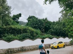 -盛世牡丹苑生态文化旅游区