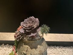 -锦城印象火锅(天府三街店)