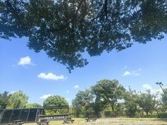 -嘉北郊野公园