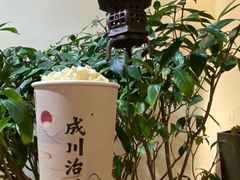 -成川茶店·潮汕工夫浓茶(万象店)