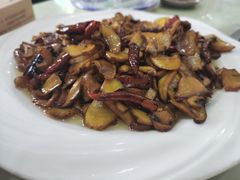 -双喜农庄·菌香园(安居家园店)