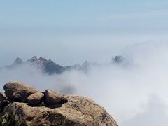 -崂山巨峰游览区