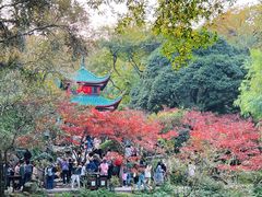 -岳麓山风景名胜区