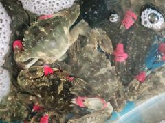 -宾朋海鲜美食特色餐厅·纯手工鲅鱼水饺(兴海路店)