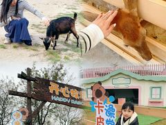 -盈香心动乐园