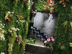 -竹颜柠香·手打功夫柠檬茶(东平店)